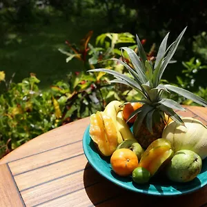  Appartement Le Talisman