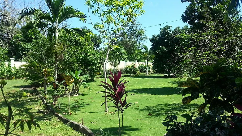 Pimento Lodge Resort Port Antonio 0*,  Jamaika