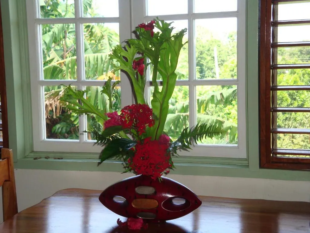Pimento Lodge Resort Port Antonio Jamaika