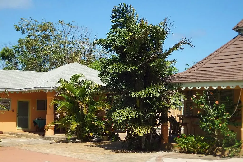 Pimento Lodge Resort Port Antonio 0*,  Jamaïque