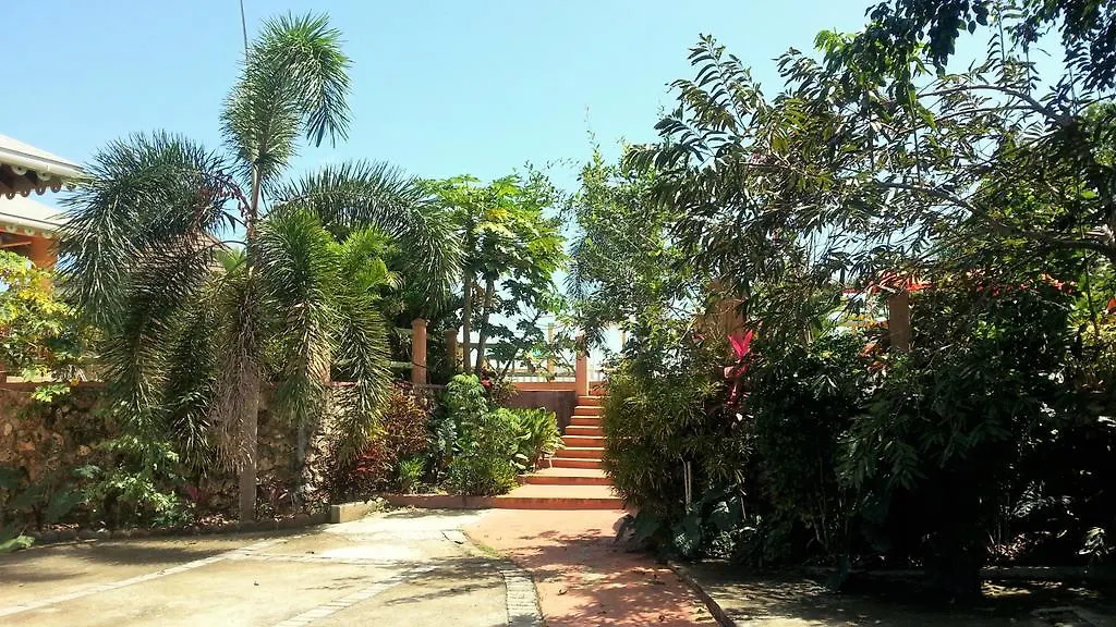 Pimento Lodge Resort Port Antonio