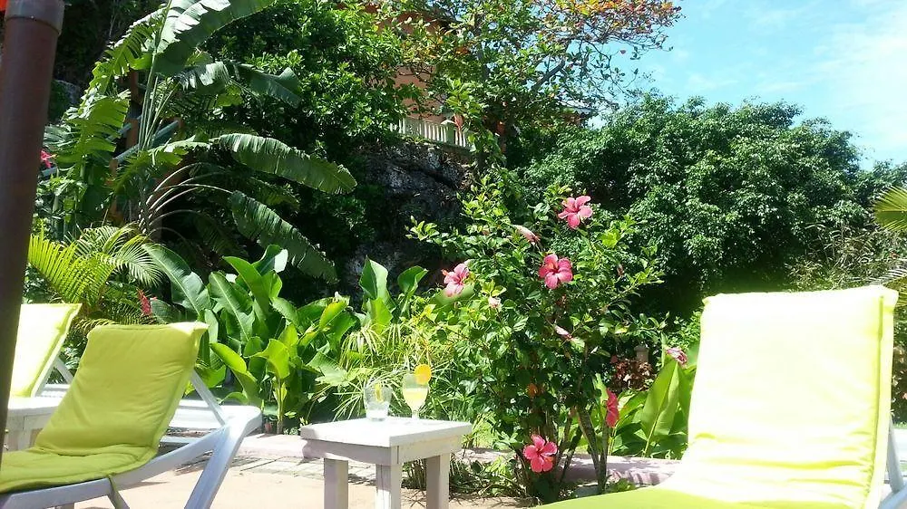 Pimento Lodge Resort Port Antonio