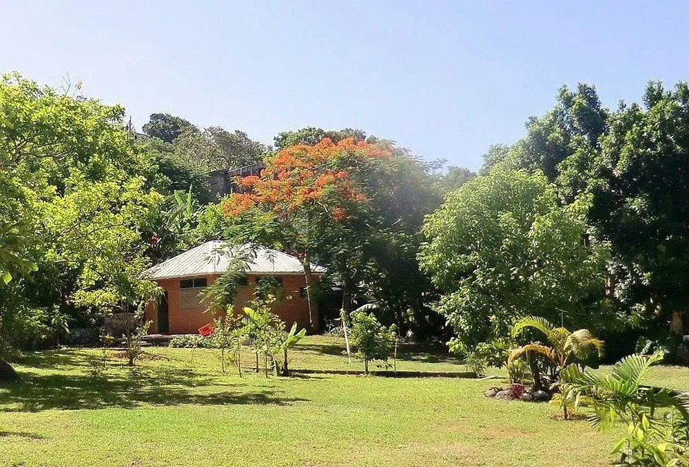 Pimento Lodge Resort Port Antonio