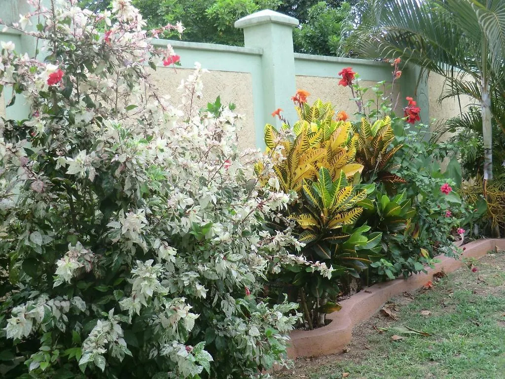 Pimento Lodge Resort Port Antonio
